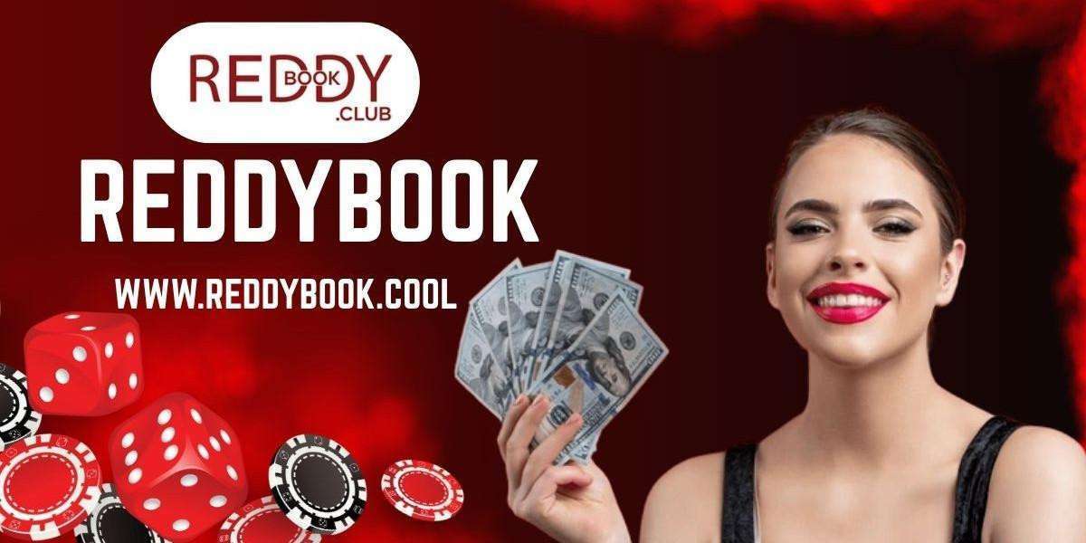 Exploring Reddybook: A Complete Overview of Its Tools, Access & User Experience