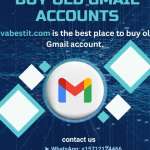 Pvabestitlive0231 Profile Picture