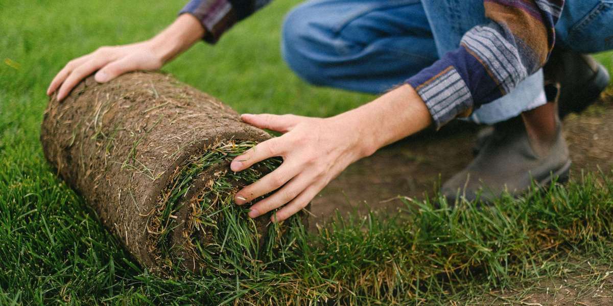 Artificial Turf Installation Near Me Engineering Structural Resilience and Strategic Architectural Integration