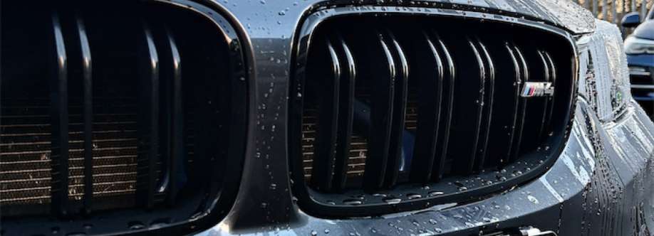 Precision Pdr Cover Image