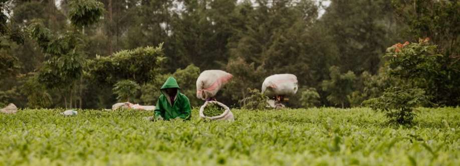 Richland cafe Cover Image