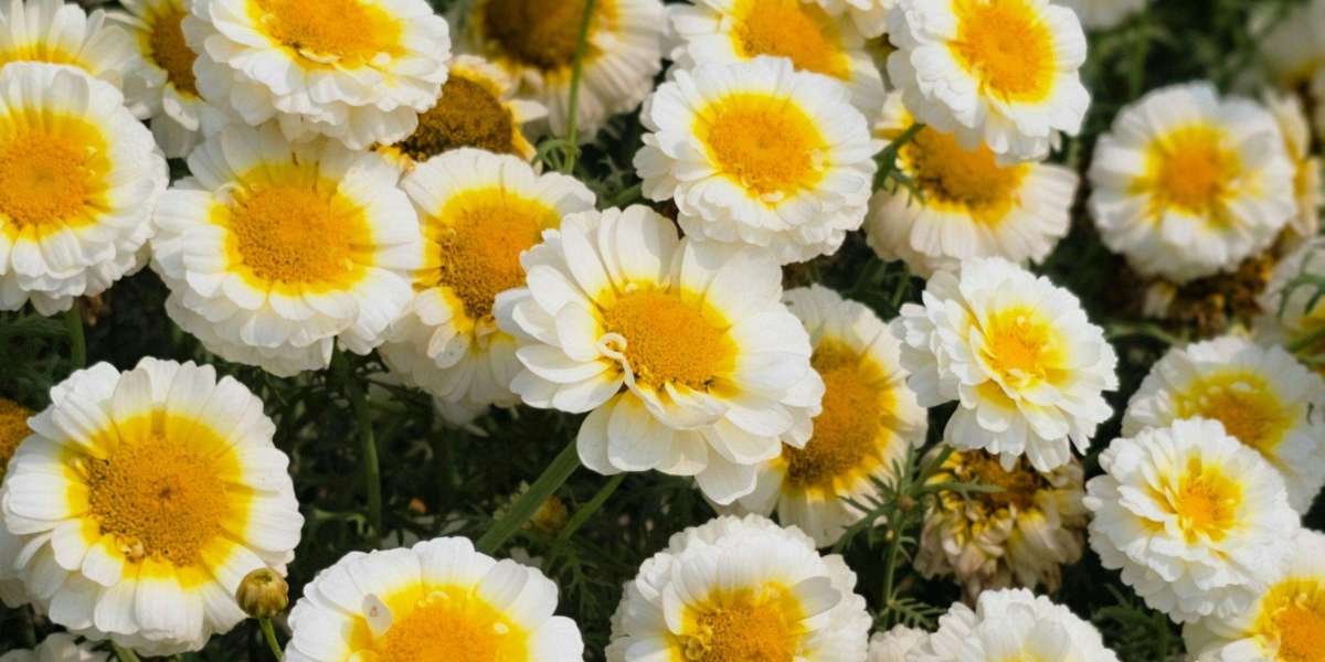 U4GM Where Helldivers 2 Finally Finds Its Meta in 2026