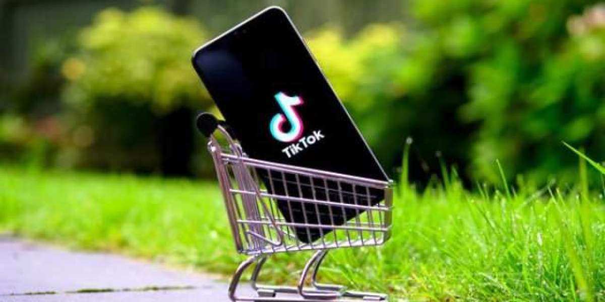 Cubicle Toilet Phenolic: Solusi Modern untuk Toilet Publik yang Tahan Lama dan Estetis