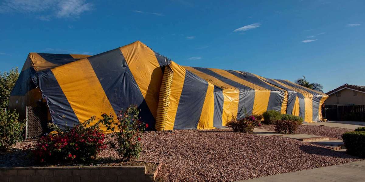 What to Expect During a Professional Termite Inspection