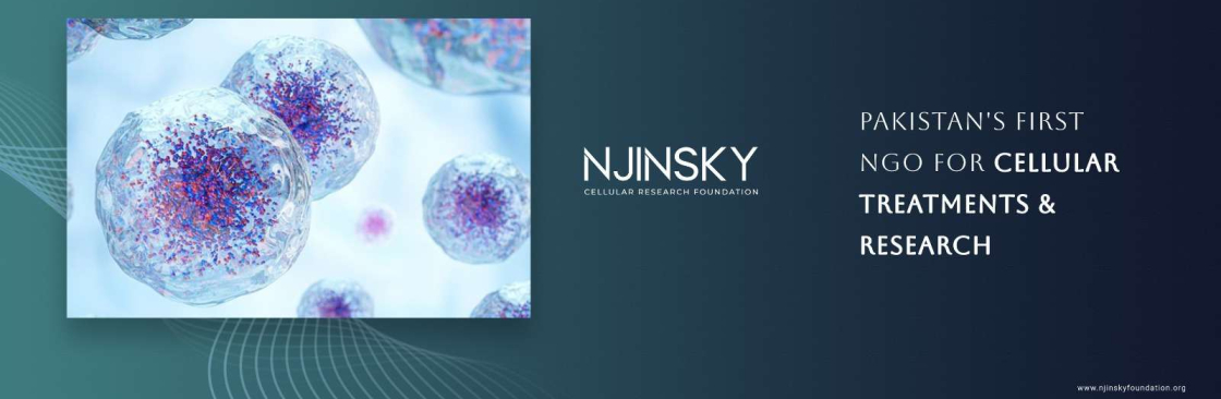 Njinsky Foundation Cover Image