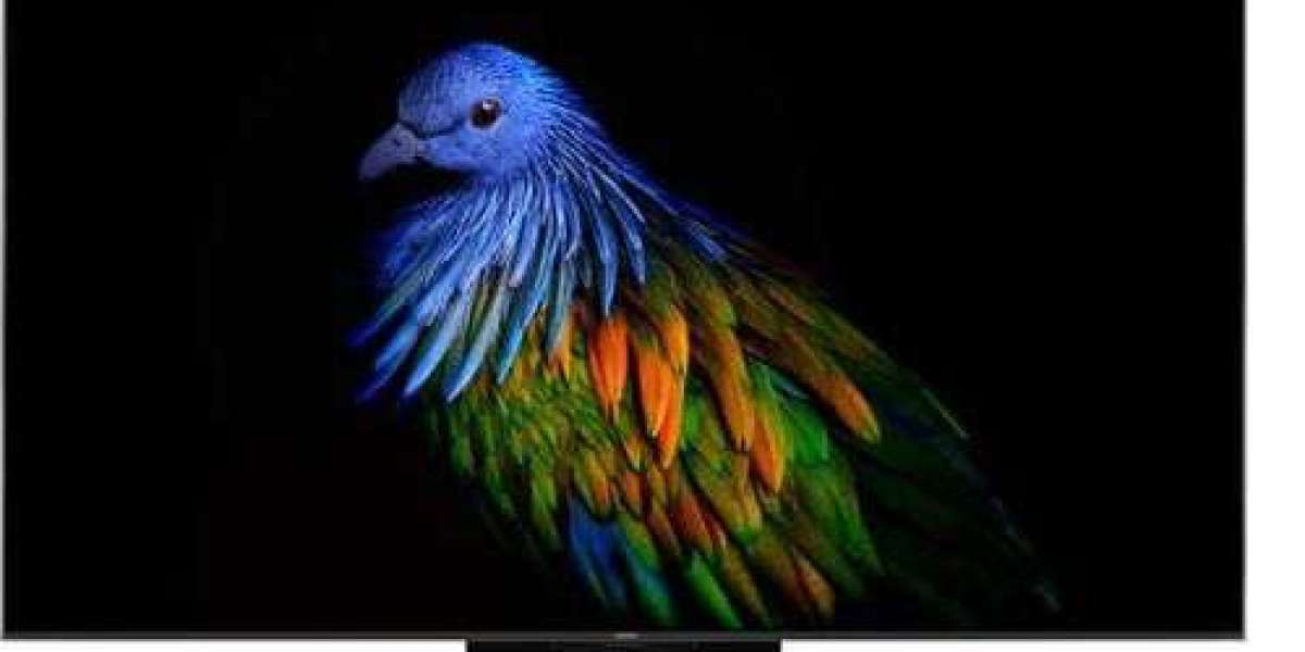 Drippers Market Size, Share & Growth 2035