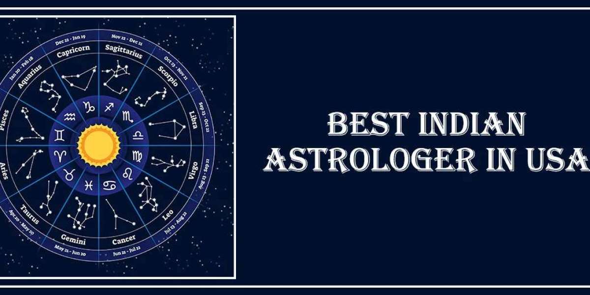 Best Indian Astrologer in Idaho