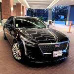 limousine service near me Profile Picture