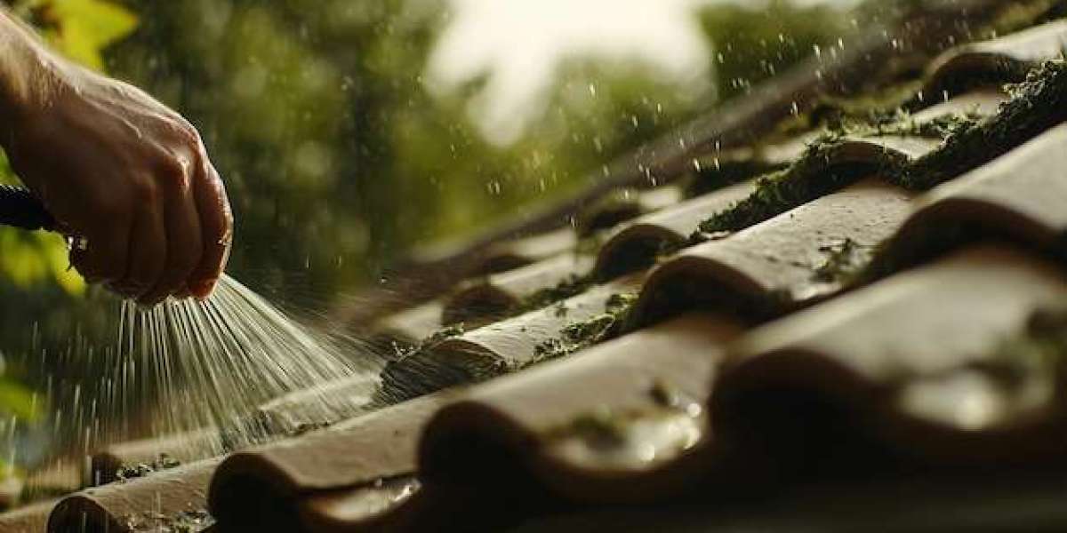 Why Concrete Cleaning Should Be Part of Your Home Maintenance Routine