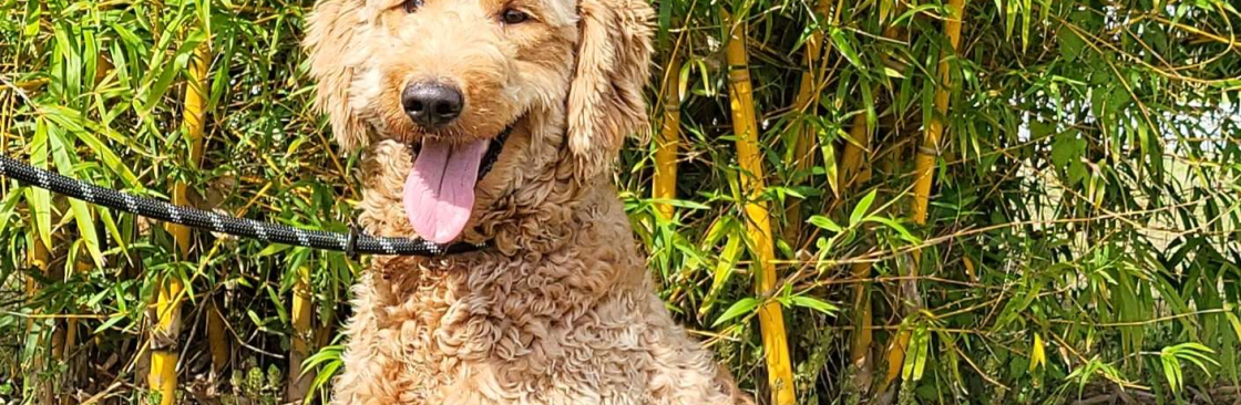 Glamour Doodles Cover Image