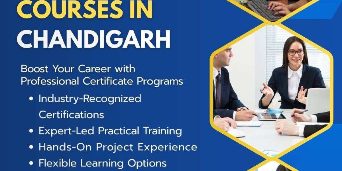 Build Work-Ready Expertise Through Applied Learning