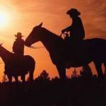 OWNER FINANCED LAND Profile Picture