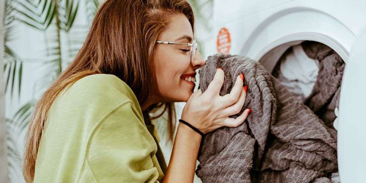 Fabric Freshener Market: A Complete Insight into Growth, Trends & Future Opportunities