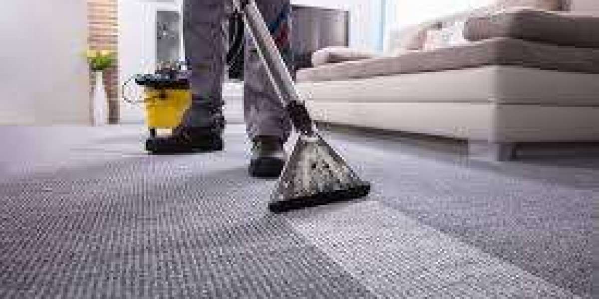 Smart Interior Care Relies on Carpet Cleaning Services