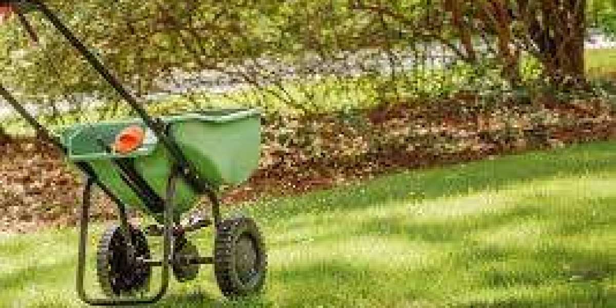 Yard Cleanup vs Lawn Mowing: What Is the Difference