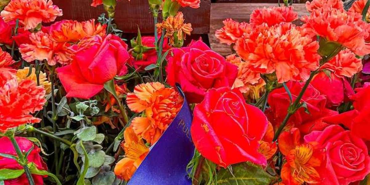 Carnations Wholesale Guide for Budget-Friendly Events