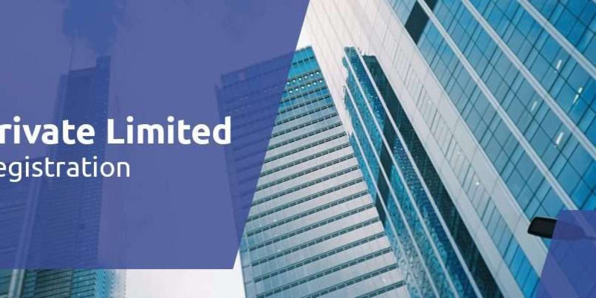 Why Startups Prefer Private Limited Company in India