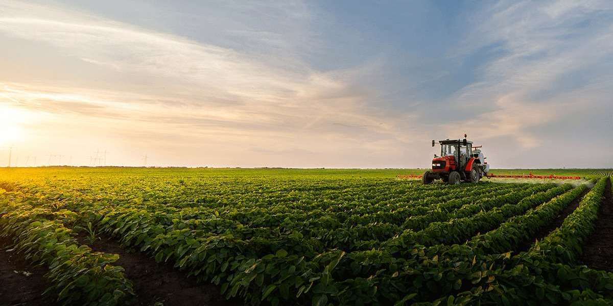 Innovative Solutions Elevating Rural Connectivity