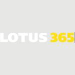 Lotus 365 Profile Picture