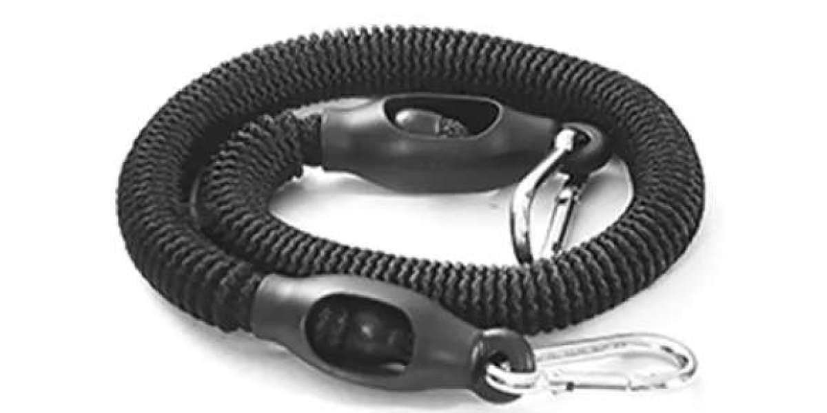 Why Push-up Plank Gains Attention In Strength Training Market