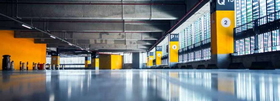 Divine Surface Solutions Cover Image