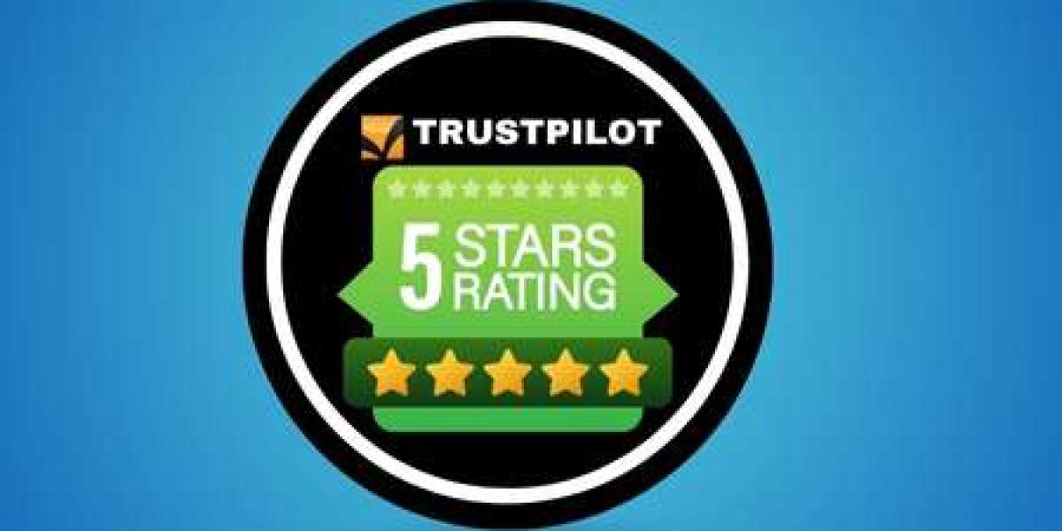 Get Real-Looking 5-Star Reviews on Trustpilot in One Day