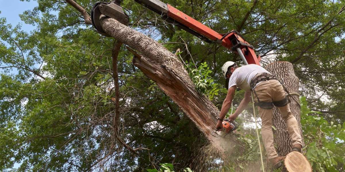 Complete Guide to Land Clearing in Cook County, IL for Property Development