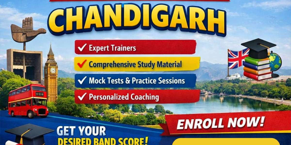 Your Path to a High IELTS Score Starts Here