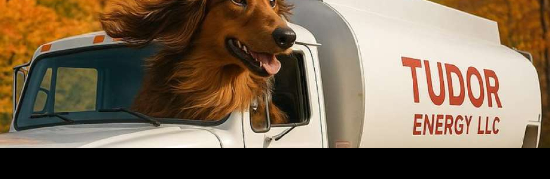 Tudor Energy LLC Cover Image