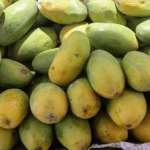 Dry Mango Companies in Pakistan Profile Picture