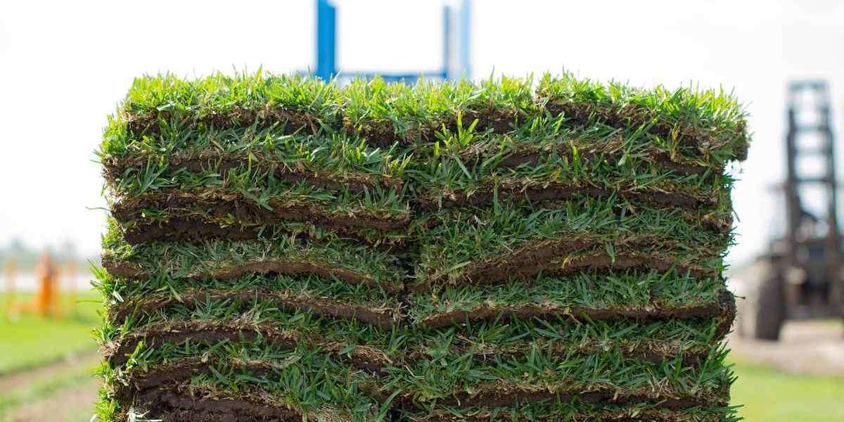 Transform Your Business Landscape with New Sod Installed at Commercial Property