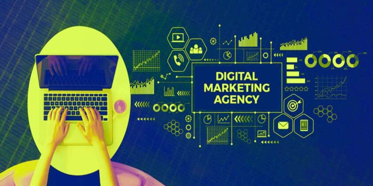 Small Business SEO Packages: A Complete Guide to Growing Your Business Online