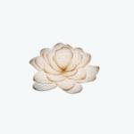 lotusatqueenswaymedical Profile Picture