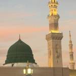 Hajar Travel Profile Picture