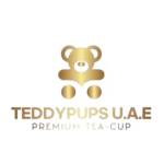 Teddy Pups profile picture