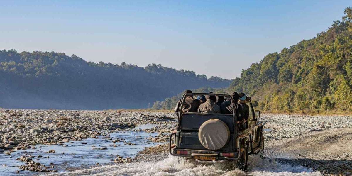 Wildlife Safari Sumatra Travel Guide for Eco Adventure Seekers