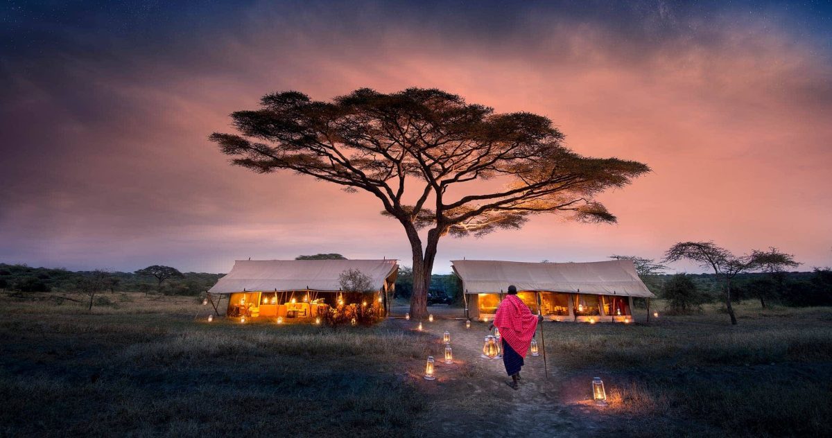 Blogs Bigodi Africa Expeditions
