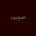 winguide101 101 Profile Picture