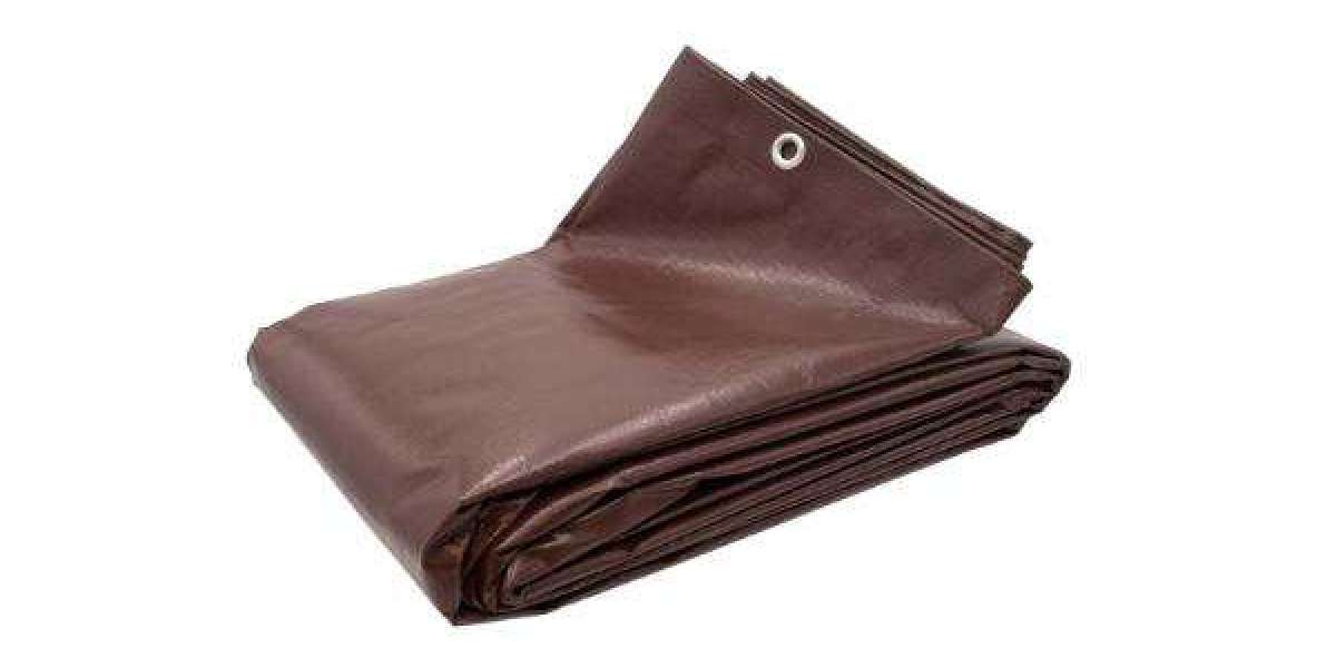 Article Picture