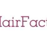 Hair Factory profile picture