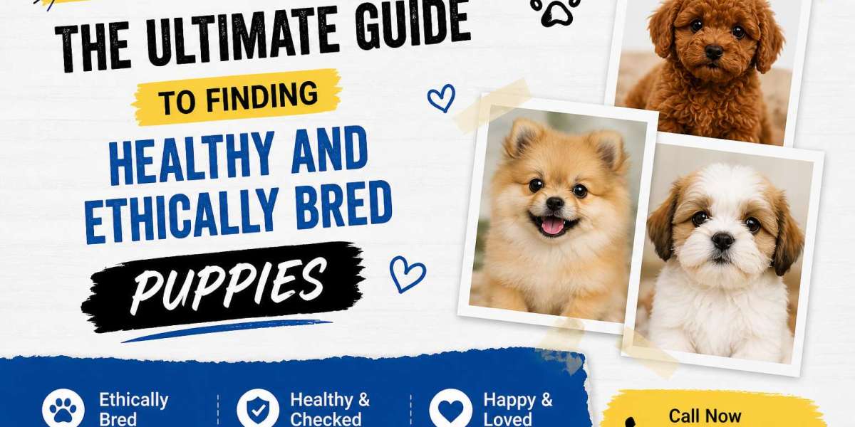 The Ultimate Guide to Finding Healthy and Ethically Bred Puppies